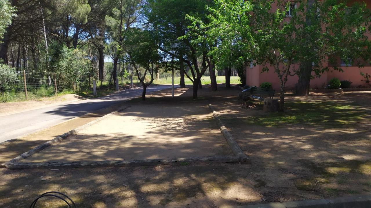 Bonito Apartamento, Con Piscina, Excelente Wifi Y Aire Acondicionado Палс Екстер'єр фото