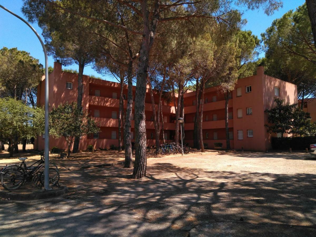 Bonito Apartamento, Con Piscina, Excelente Wifi Y Aire Acondicionado Палс Екстер'єр фото